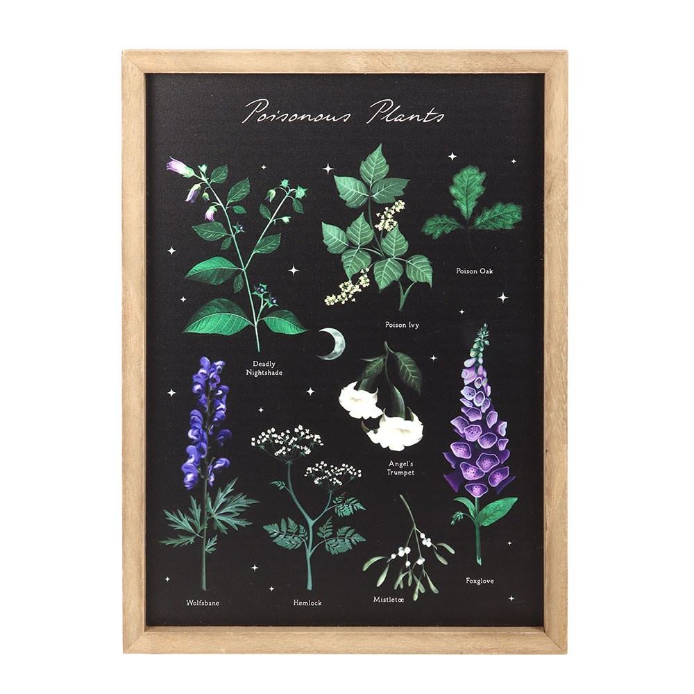 Something Different - Poisonous Plants Framed print - Multicolours
